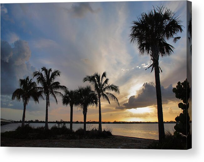 Palm Trees Acrylic Print featuring the photograph San Carlos Bay Sunset II by Steven Ainsworth