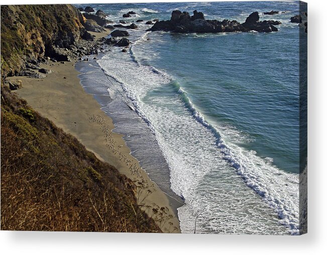 California Acrylic Print featuring the photograph Sanderlings at Big Sur by Rod Jones