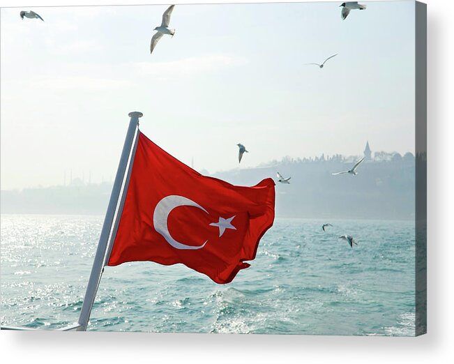 Istanbul Acrylic Print featuring the photograph Seagulls Flying Over Turkey Flag by Henglein And Steets