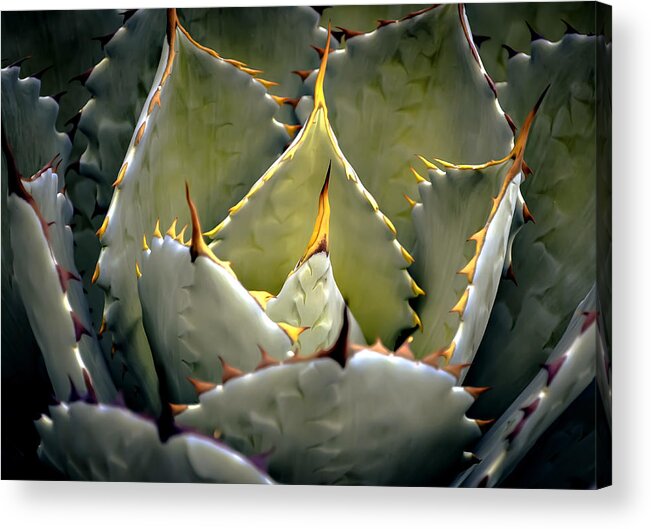 Desert Acrylic Print featuring the photograph Sharp by Julie Palencia