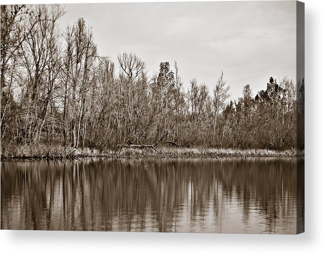 Shoreline 5b Acrylic Print featuring the photograph Shoreline 5b by Greg Jackson