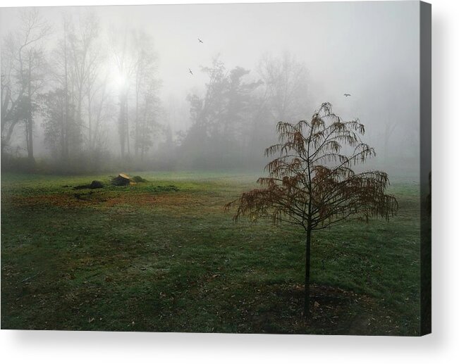 Landscape Acrylic Print featuring the photograph Sleepy Morning by Diana Angstadt