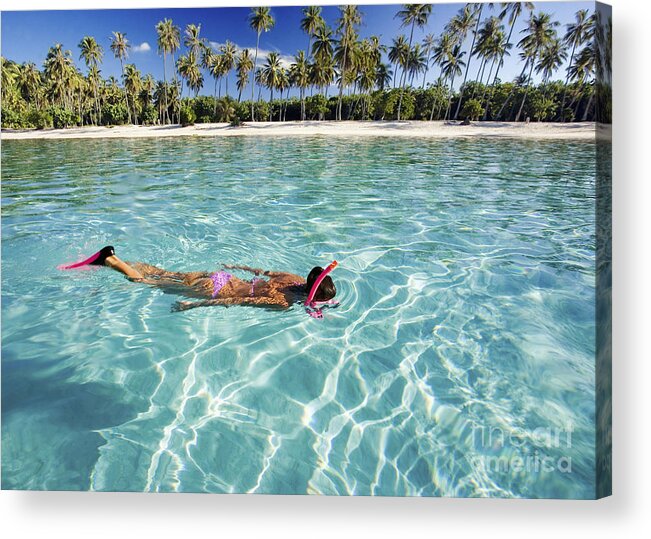Amaze Acrylic Print featuring the photograph Snorkeling in Polynesia by M Swiet Productions