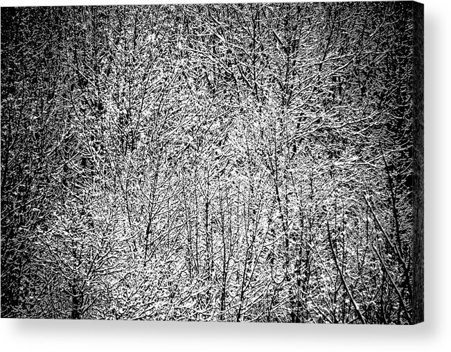 Snow Acrylic Print featuring the photograph Snow on Snow by Jacqueline M Lewis