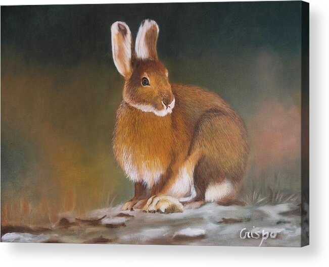 Hare Acrylic Print featuring the painting Snowshoe by Jean Yves Crispo