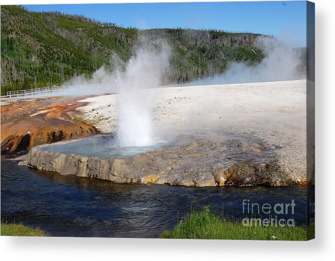 Geyser Acrylic Print featuring the photograph Spewing Beauty by Deanna Cagle