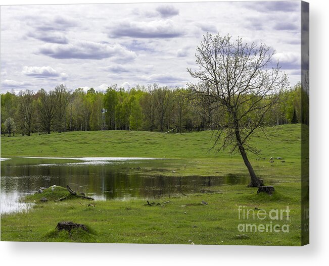 Spring Landscape Acrylic Print featuring the photograph Spring Time Machine by Dan Hefle