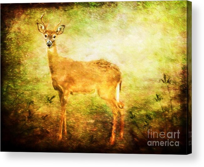 Deer Acrylic Print featuring the photograph Startled by Lois Bryan