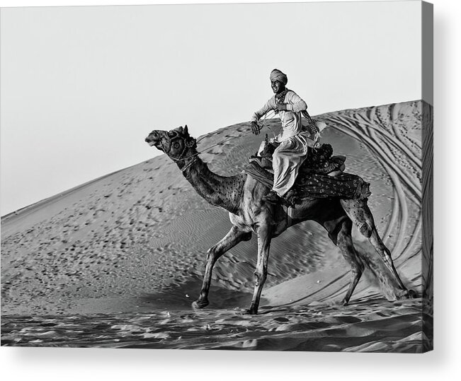 Camel Acrylic Print featuring the photograph Such Fun by Susan Moss