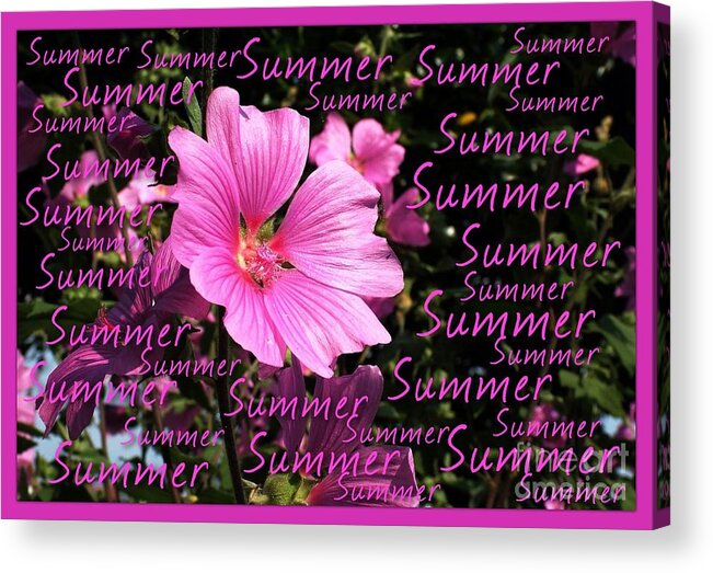 Greeting Card Acrylic Print featuring the photograph Summer Greetings by Joan-Violet Stretch