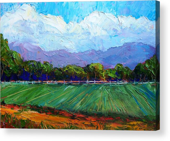 Landscape Acrylic Print featuring the painting Summer in Albuquerque by Marian Berg