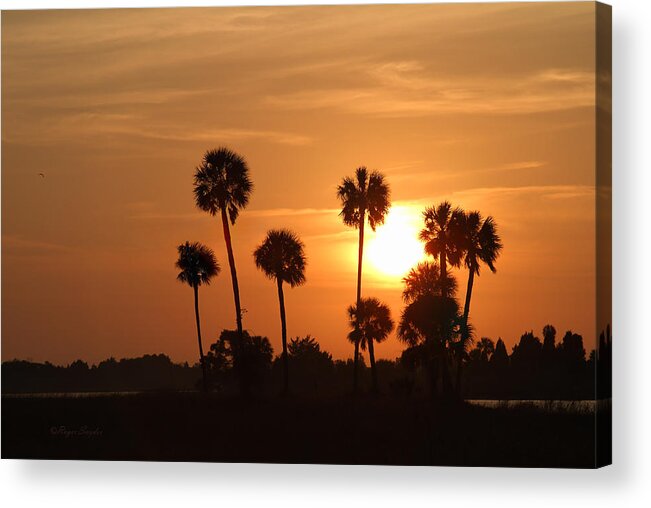 Beautiful Acrylic Print featuring the photograph Sunset Palms 1 by Roger Snyder