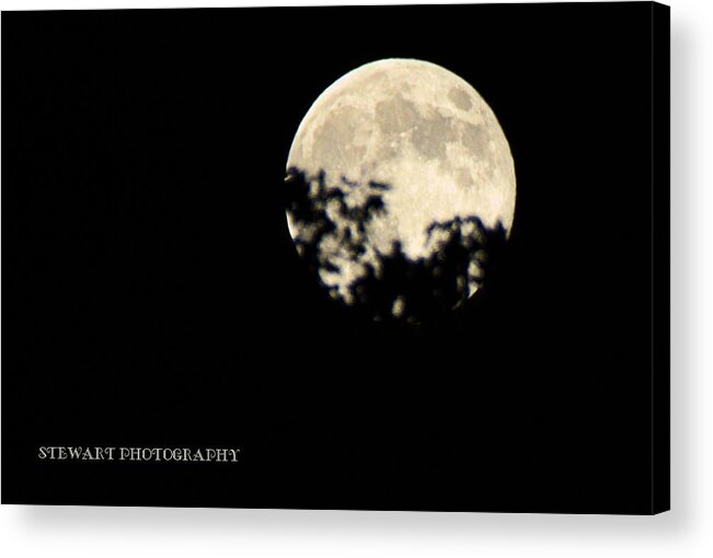 Lunar Acrylic Print featuring the photograph Super Moon by William Stewart