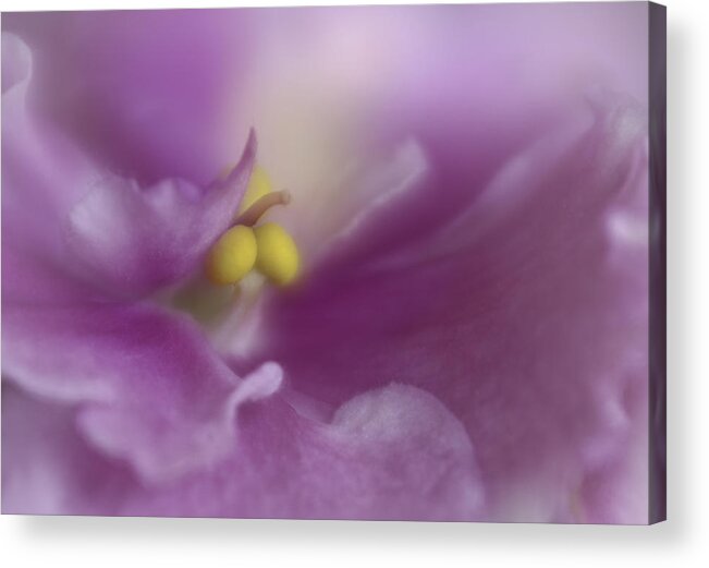 Abstract Acrylic Print featuring the photograph Sweet Dreams by David and Carol Kelly