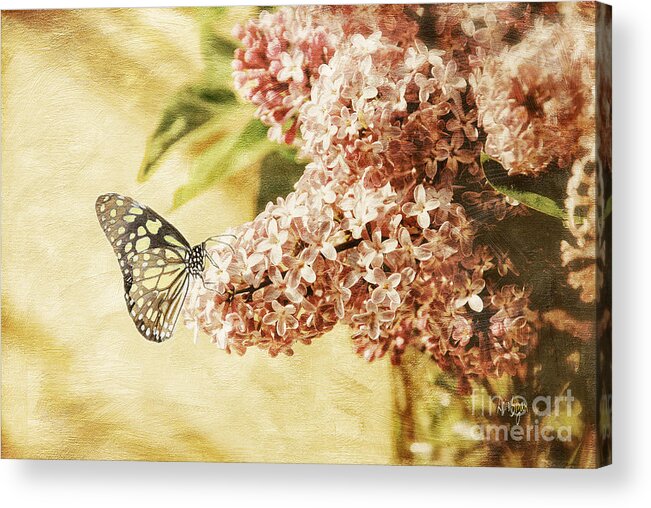 Butterfly Acrylic Print featuring the photograph Sweet Lilacs by Lois Bryan