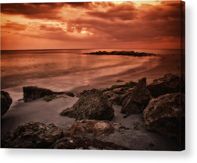 Crystal Yingling Acrylic Print featuring the photograph Tangerine Dream by Ghostwinds Photography