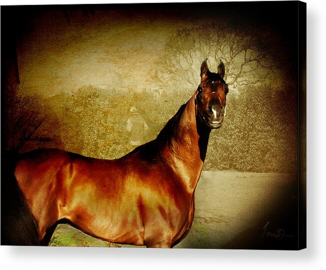 Horse Acrylic Print featuring the digital art The Bay by Janice OConnor