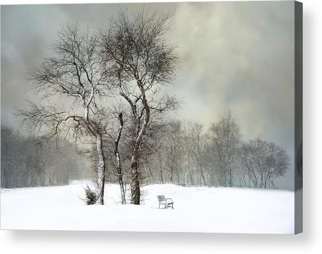 Bench Acrylic Print featuring the photograph The Bench by Robin-Lee Vieira