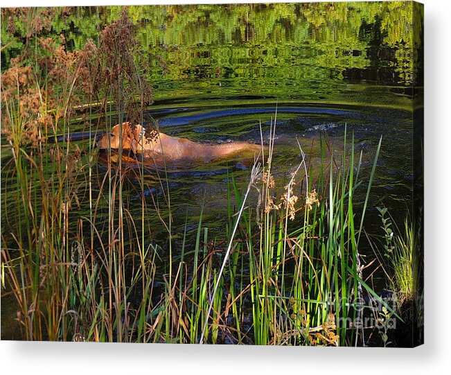 Swim Acrylic Print featuring the photograph The Dog Paddle by Mim White