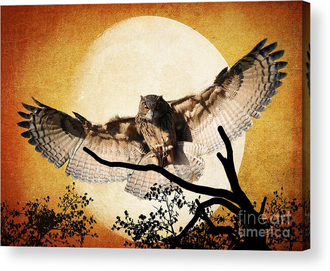 Textures Acrylic Print featuring the photograph The Eurasian Eagle Owl And The Moon by Kathy Baccari