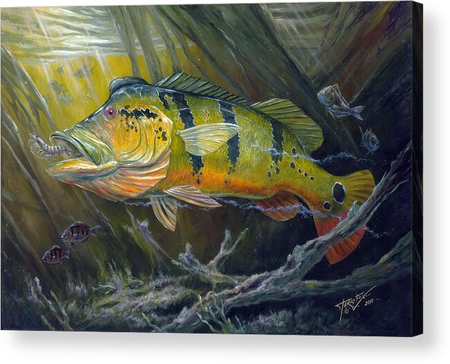 Peacock Bass Acrylic Print featuring the painting The Great Peacock Bass by Terry Fox