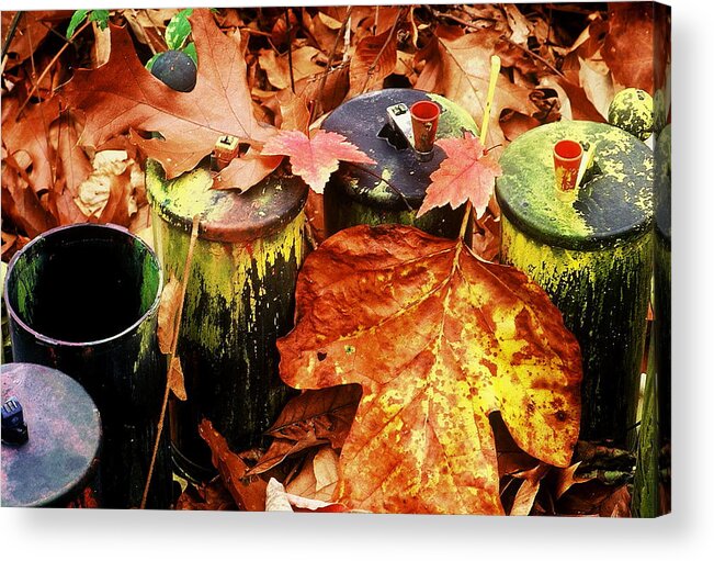 Fine Art Acrylic Print featuring the photograph The Secret Of Fall by Rodney Lee Williams