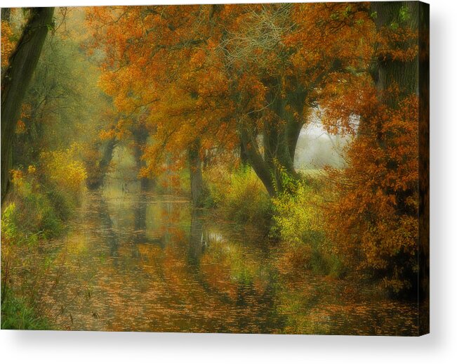 Autumn Acrylic Print featuring the photograph The Shire by John Chivers