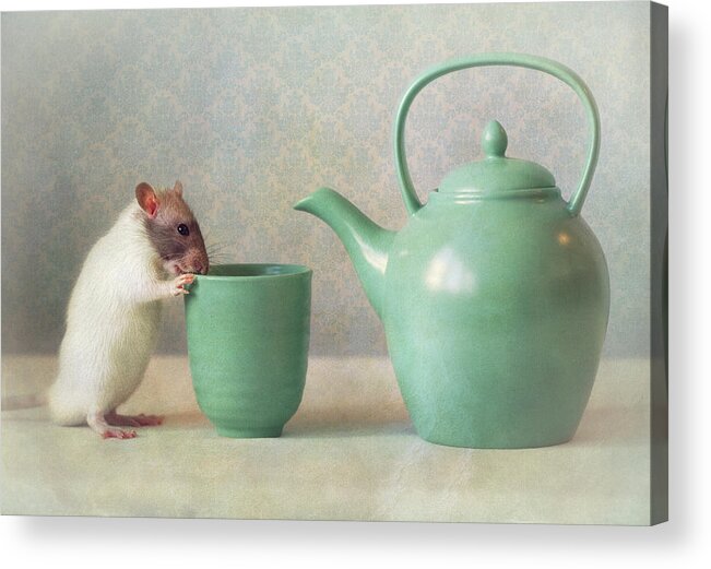 Snoozy Acrylic Print featuring the photograph The Teapot by Ellen Van Deelen