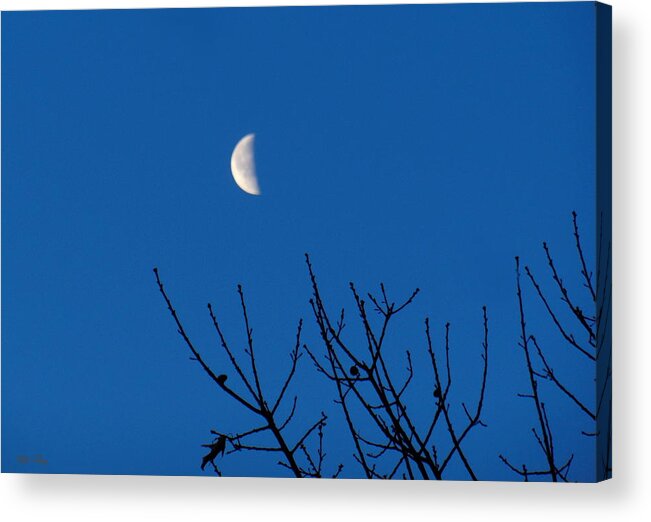 Waning Acrylic Print featuring the photograph The Waning Is The Hardest Part by Wild Thing