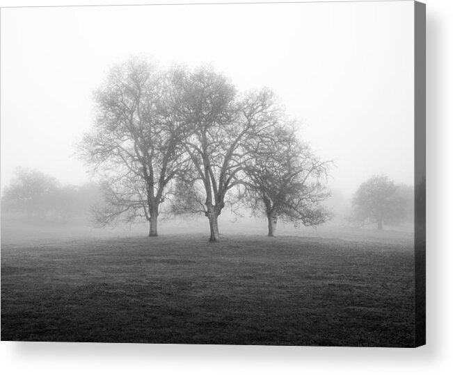 B&w Acrylic Print featuring the photograph Three Sisters by Alexander Kunz