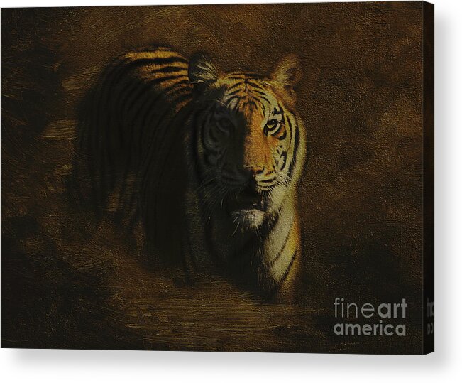 Tiger Acrylic Print featuring the photograph Tiger Art by Jayne Carney