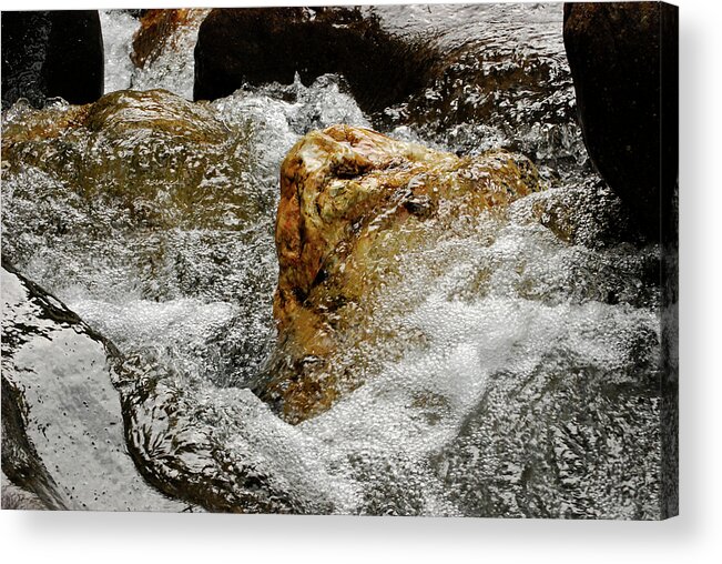 Bubbles Acrylic Print featuring the photograph Tiny Bubbles by Christi Kraft