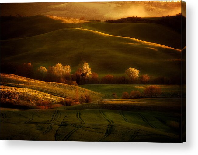 Toskany Acrylic Print featuring the photograph Golden fields of val d'Orcia by Jaroslaw Blaminsky