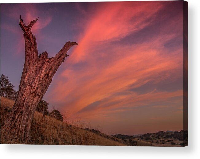 Landscape Acrylic Print featuring the photograph Touch The Sky by Marc Crumpler