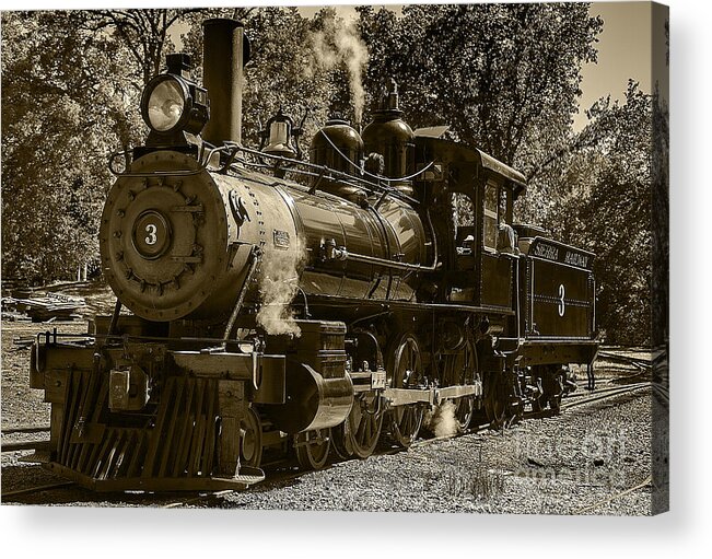 Train Acrylic Print featuring the photograph Train Engine number 3 by David Millenheft
