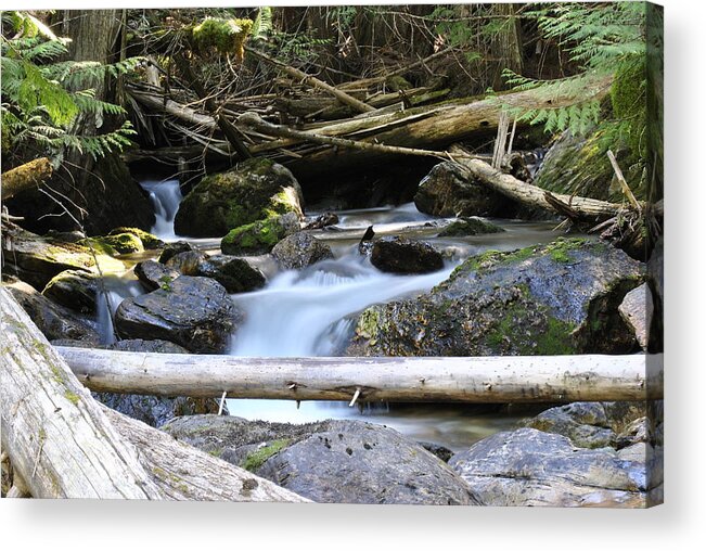 Creek Acrylic Print featuring the photograph Tranquil Moments by Debra Casper