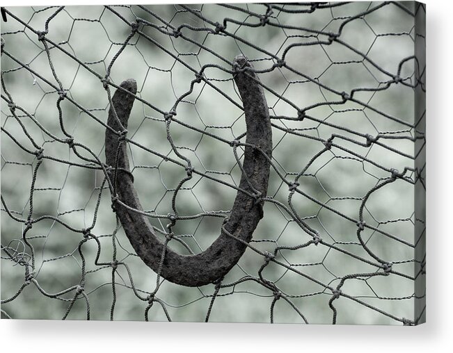 Horseshoe Acrylic Print featuring the photograph Trapped Horseshoe by Kathy Paynter