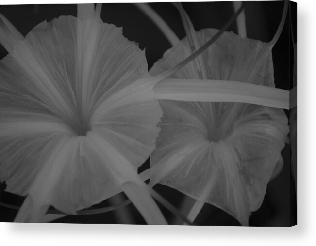Tropic Flowers Acrylic Print featuring the photograph Tropical Garden by Miguel Winterpacht
