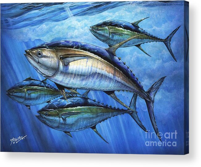 Yellowfin Tuna. Atun Acrylic Print featuring the painting Tuna In Advanced by Terry Fox