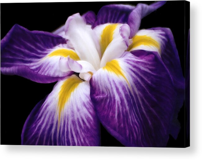 Violet Acrylic Print featuring the digital art Violet Iris by Bruce Rolff