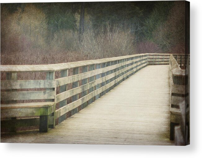 Bridge Acrylic Print featuring the photograph Walking Softly by Marilyn Wilson