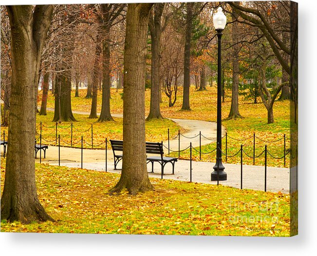 Trees Acrylic Print featuring the photograph Washington DC's Memorial Parks in the Winter by Mary Jane Armstrong