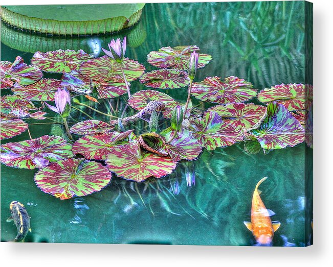 Greeting Acrylic Print featuring the photograph Flower 12 #1 by Albert Fadel