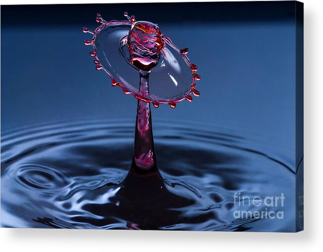Water Acrylic Print featuring the photograph Wheel of Confusion by Anthony Sacco