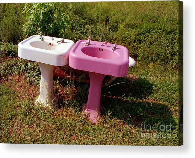 Countryside Acrylic Print featuring the photograph White Sink Pink Sink by Tom Brickhouse