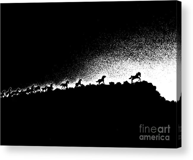 Horse Acrylic Print featuring the photograph Wild Stallions Silhouette by Chuck Flewelling