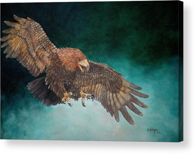 Bird Acrylic Print featuring the painting Wingspan by Jean Yves Crispo