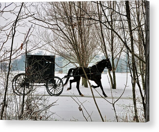 Winter Acrylic Print featuring the photograph Winter Buggy by David Arment
