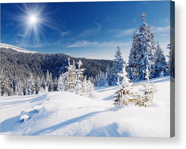 Winter Acrylic Print featuring the photograph Winter Landscape by Boon Mee