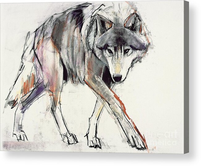 Wolf Acrylic Print featuring the painting Wolf by Mark Adlington